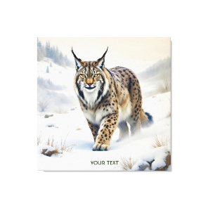 Fantasy Cute Lynx Winter Snow Canvas Print