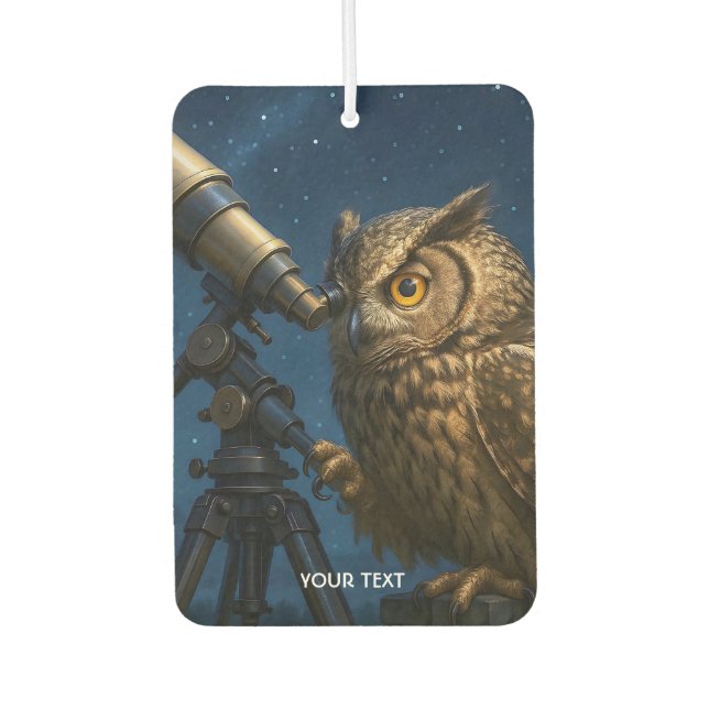 Fantasy Cute Owl Telescope Night  Air Freshener (Front)