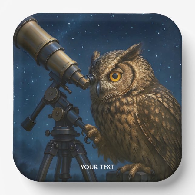Fantasy Cute Owl Telescope Night  Paper Plates (Front)