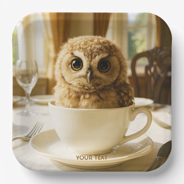 Fantasy Cute Tea Owl Baby Paper Plates (Front)