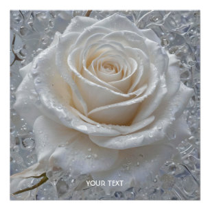 Fantasy Cute White Rose Drops Poster