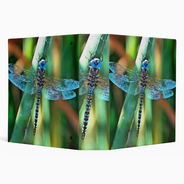 Fantasy Dragonfly In Turquoise and Black 3 Ring Binder (Background)