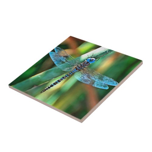 Fantasy Dragonfly In Turquoise and Black Ceramic Tile