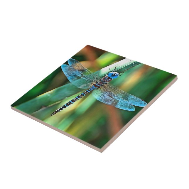Fantasy Dragonfly In Turquoise and Black Ceramic Tile (Side)