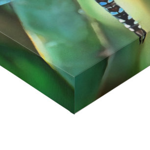 Fantasy Dragonfly In Turquoise and Black Faux Canvas Print