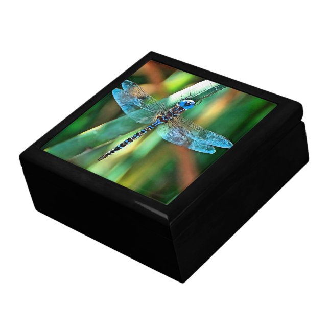 Fantasy Dragonfly In Turquoise and Black Gift Box (Side)