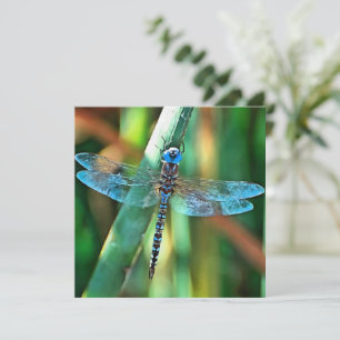 Fantasy Dragonfly In Turquoise and Black Holiday Card