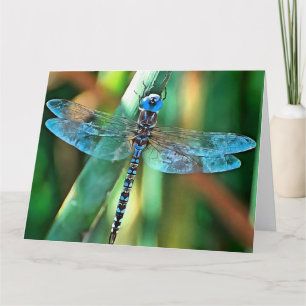 Fantasy Dragonfly In Turquoise and Black Letterpress Thank You Card
