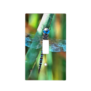 Fantasy Dragonfly In Turquoise and Black Light Switch Cover