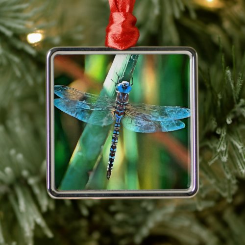 Fantasy Dragonfly In Turquoise and Black Metal Ornament