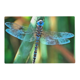 Fantasy Dragonfly In Turquoise and Black Placemat