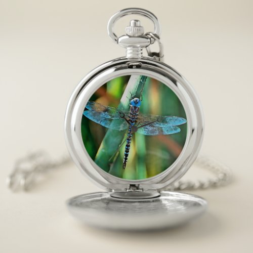 Fantasy Dragonfly In Turquoise and Black Pocket Watch