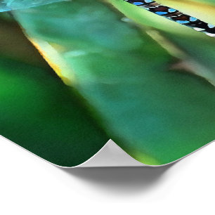 Fantasy Dragonfly In Turquoise and Black Poster