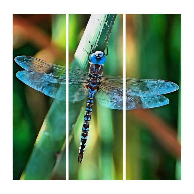 Fantasy Dragonfly In Turquoise and Black Triptych (Front)