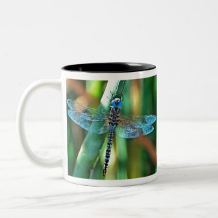 Fantasy Dragonfly In Turquoise and Black Two-Tone Coffee Mug