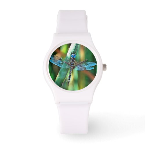 Fantasy Dragonfly In Turquoise and Black Watch