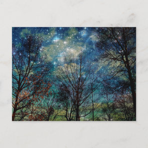 Fantasy Forest Celestial Woods Night Stars Postcard