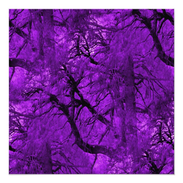 Fantasy Forest... Poster (Front)