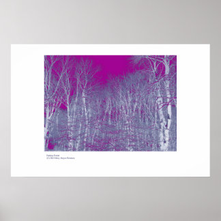 Fantasy Forest Poster