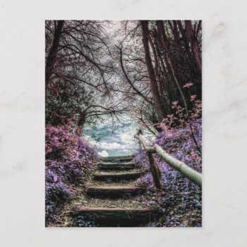 Fantasy Forest Steps Postcard by bigspl at Zazzle