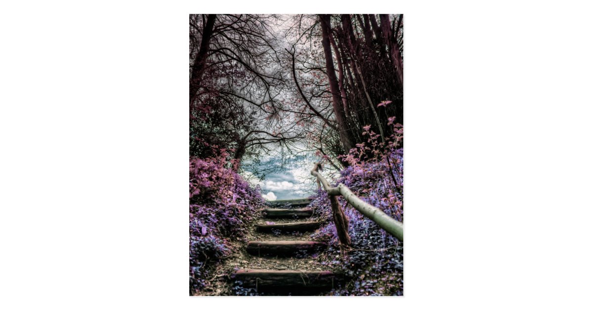 Fantasy Forest Steps Postcard