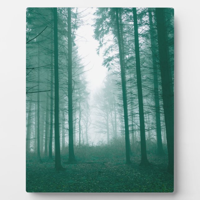 Fantasy forest with fog in Green Plaque (Front)