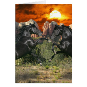 Fantasy Horses: Black Magic