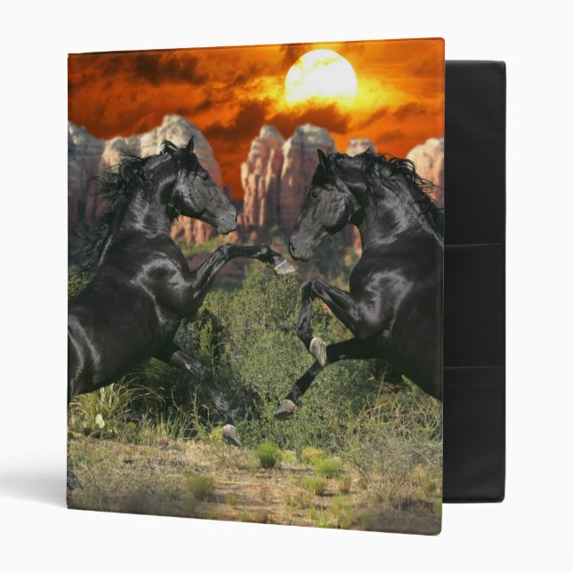 Fantasy Horses: Black Magic Binder (Front/Inside)