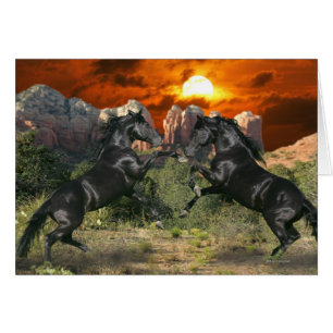 Fantasy Horses: Black Magic Cards