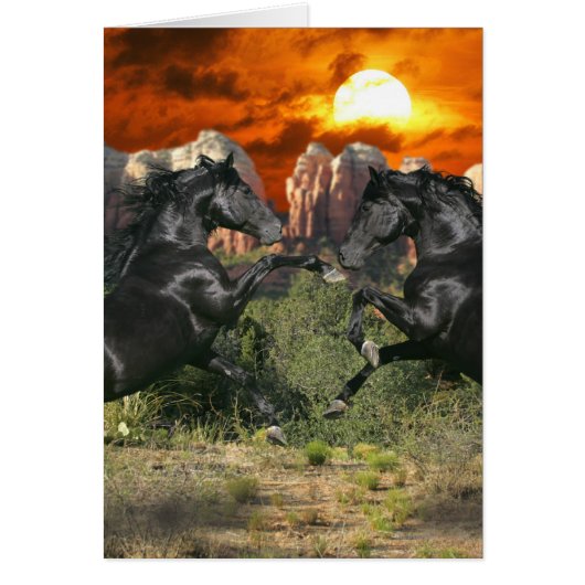 Fantasy Horses: Black Magic Cards (Front)