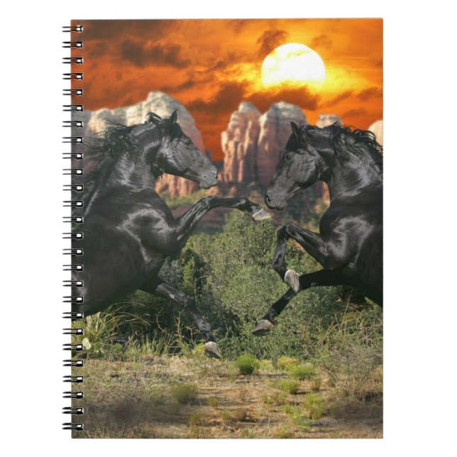 Fantasy Horses: Black Magic Notebook (Front)