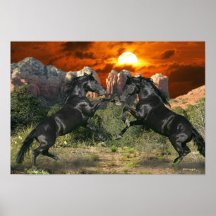 Fantasy Horses: Black Magic Poster