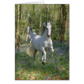 Fantasy Horses: Bluebell Wood (Front)
