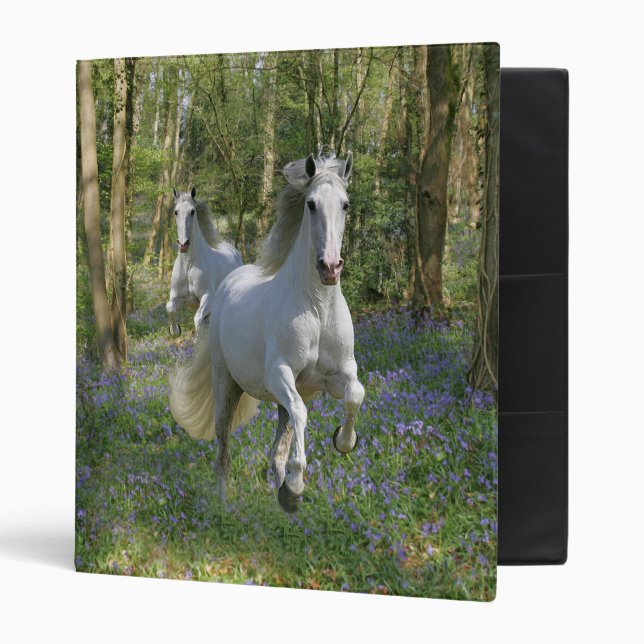 Fantasy Horses: Bluebell Wood Binder (Front/Inside)