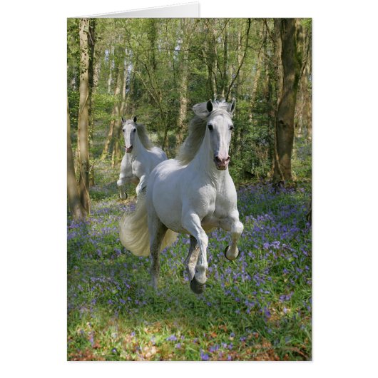 Fantasy Horses: Bluebell Wood Cards (Front)