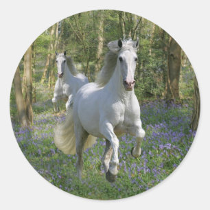 Fantasy Horses: Bluebell Wood Classic Round Sticker