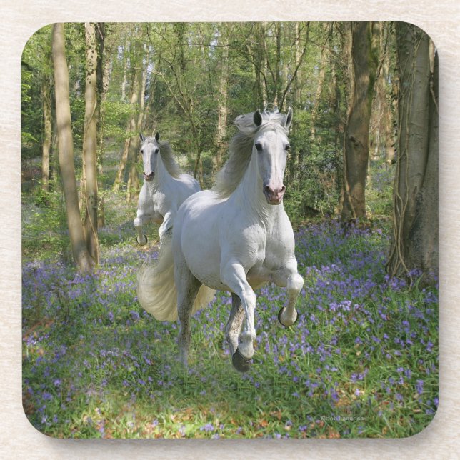 Fantasy Horses: Bluebell Wood Drink Coaster (Front)