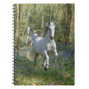 Fantasy Horses: Bluebell Wood Notebook