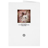 Fantasy Horses Cards (Back)