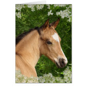 Fantasy Horses: Flowers (Front)