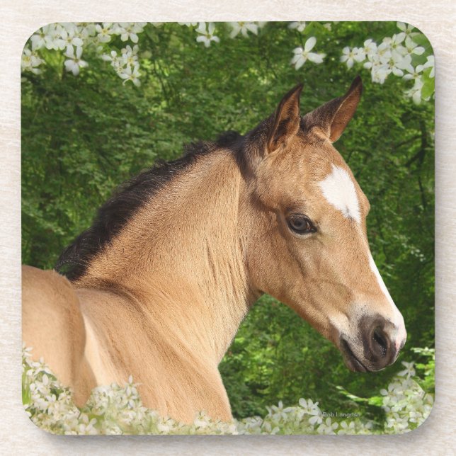Fantasy Horses: Flowers Beverage Coaster (Front)