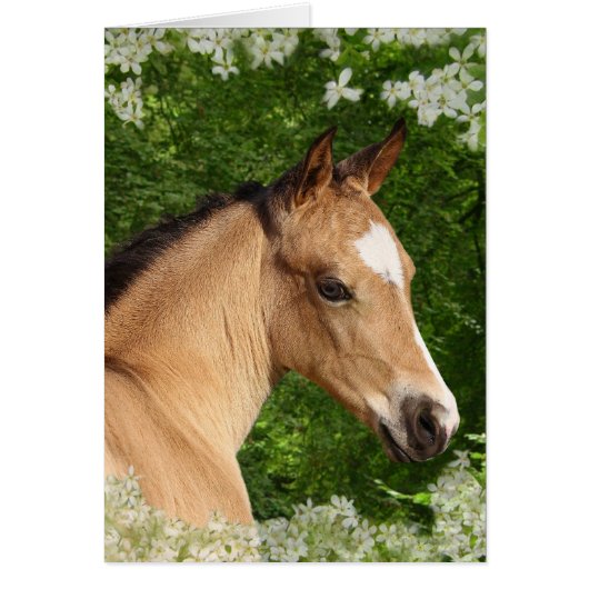 Fantasy Horses: Flowers Cards (Front)