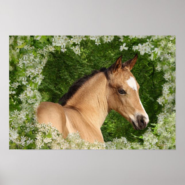 Fantasy Horses: Flowers Poster (Front)