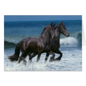 Fantasy Horses: Friesians & Sea (Front Horizontal)