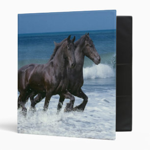 Fantasy Horses: Friesians & Sea Binder