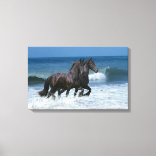 Fantasy Horses: Friesians & Sea Canvas Print