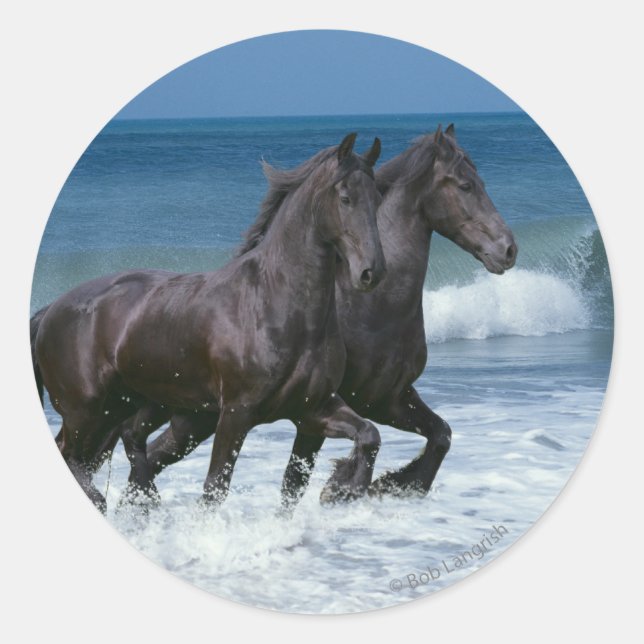 Fantasy Horses: Friesians & Sea Classic Round Sticker (Front)
