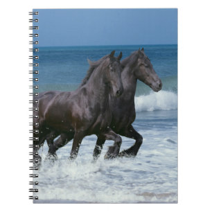 Fantasy Horses: Friesians & Sea Notebook