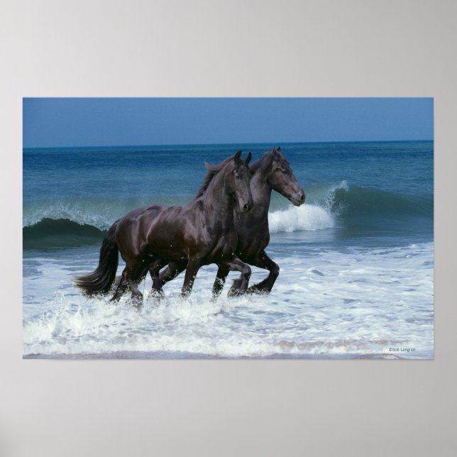 Fantasy Horses: Friesians & Sea Poster (Front)