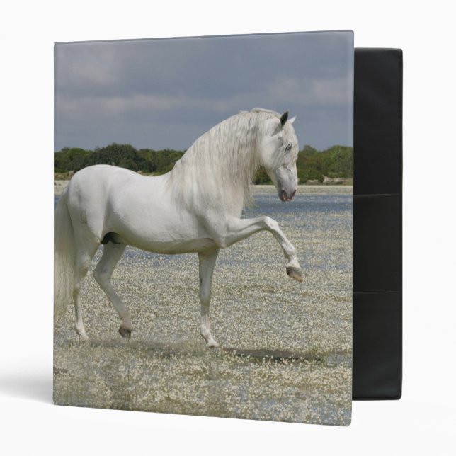 Fantasy Horses: Lord of the Lake 3 Ring Binder (Front/Inside)